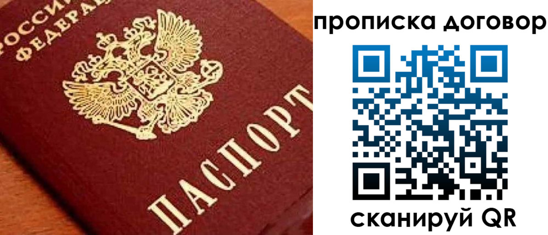 прописка поиск в Нелидово